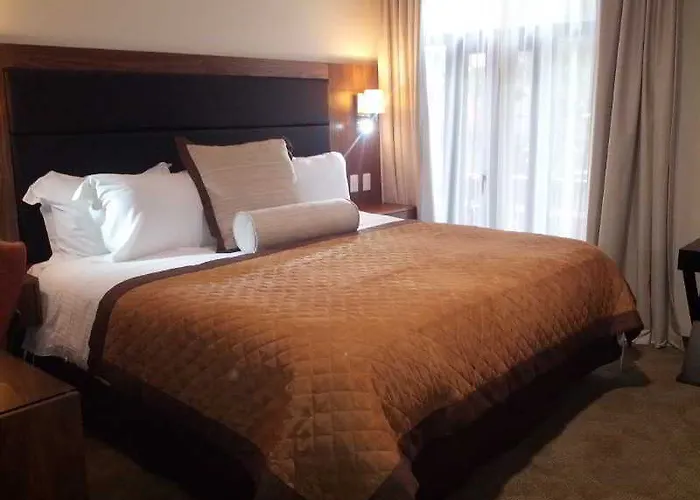 Senia Reforma 4*
