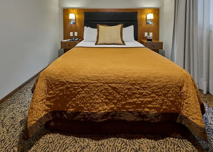 Hotel Senia Reforma