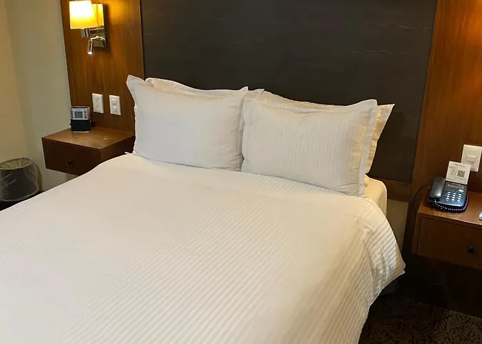 Senia Reforma 4* 墨西哥城