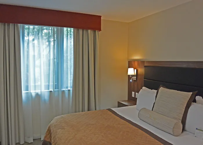 Hotel Senia Reforma