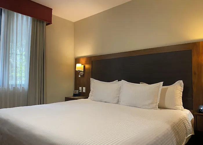 Senia Reforma Hotel México DF