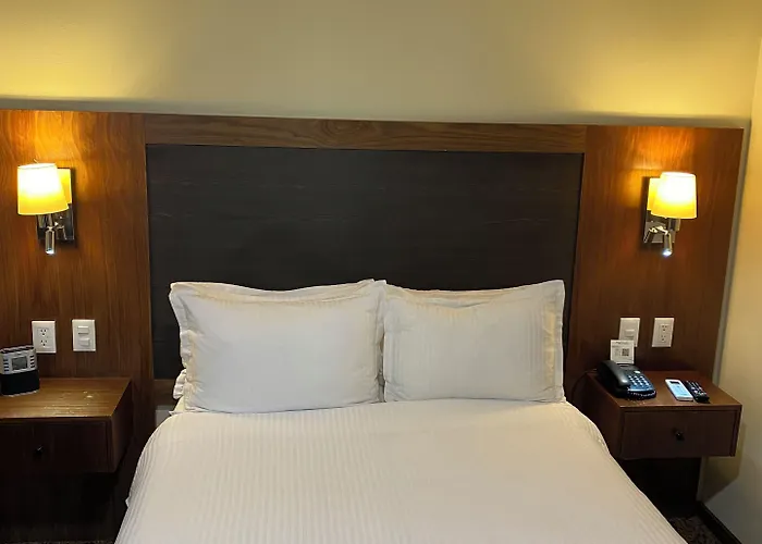 酒店 Senia Reforma 墨西哥城