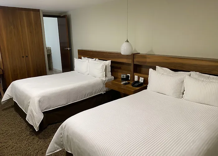Hotel Senia Reforma