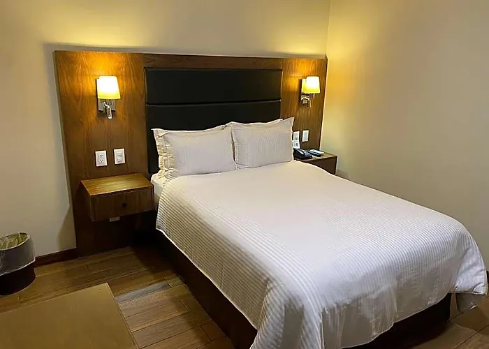 Senia Reforma 4*