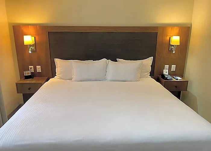 Senia Reforma Hotel México DF